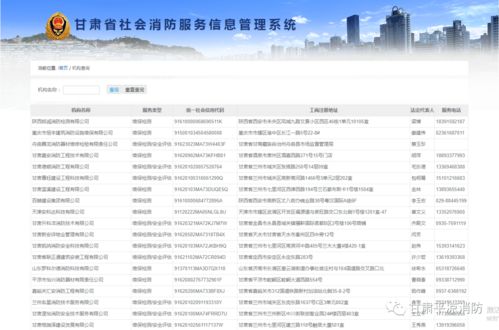 平涼消防 學黨史辦實事，手把手教你查詢消防技術服務機構