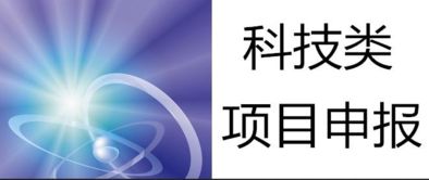 信息技術(shù)咨詢服務 科技項目咨詢公司與廠家的專業(yè)賦能