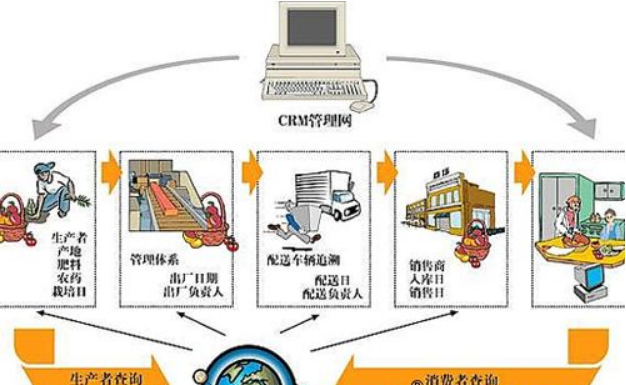 食品追溯的常用方法與信息技術(shù)咨詢服務的作用